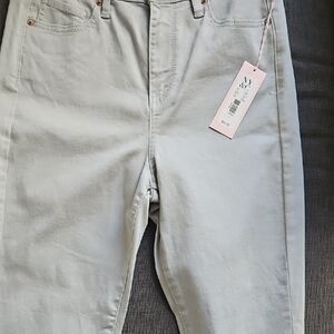 Eva Mendes for New York & Company Light Gray Straight Leg Jeans